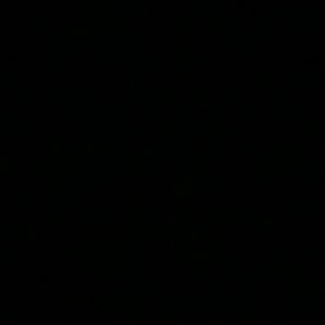 Meet your Posher, Barbra